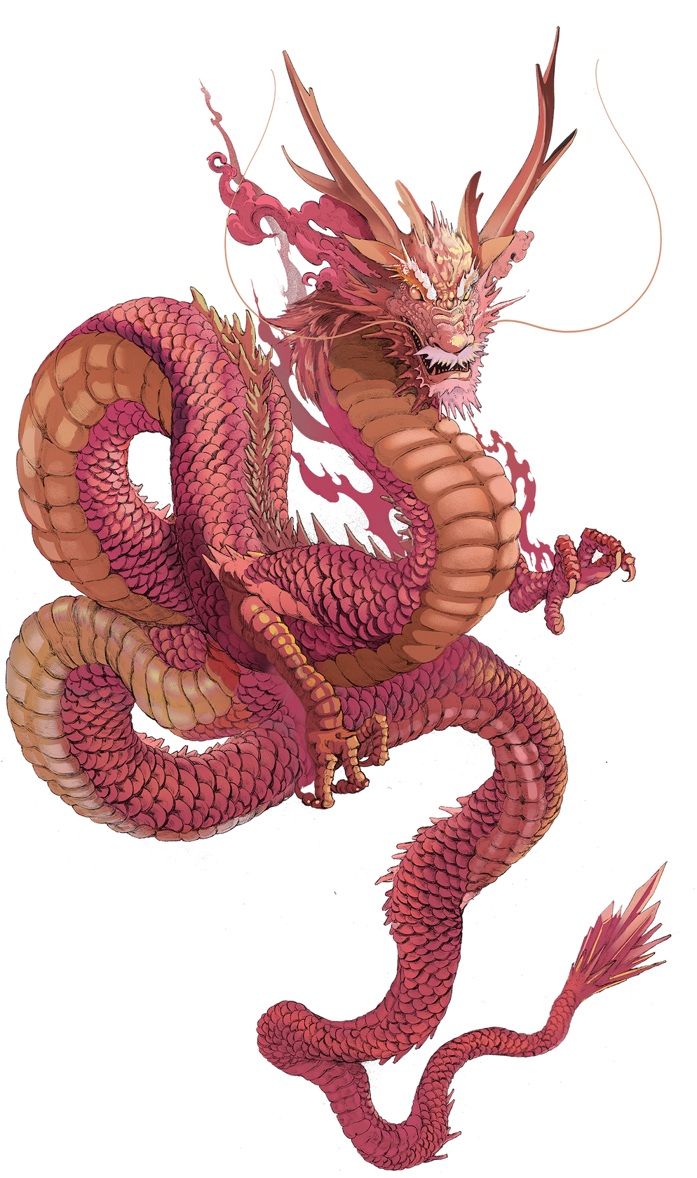 Dragon