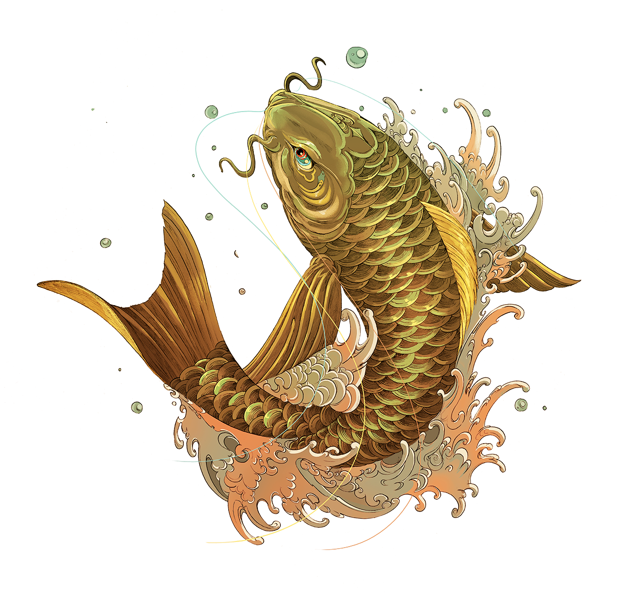 Koi