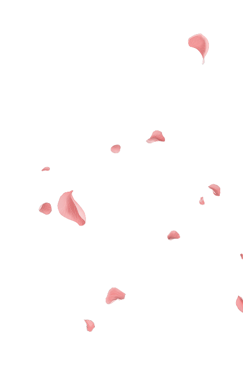 Petals
