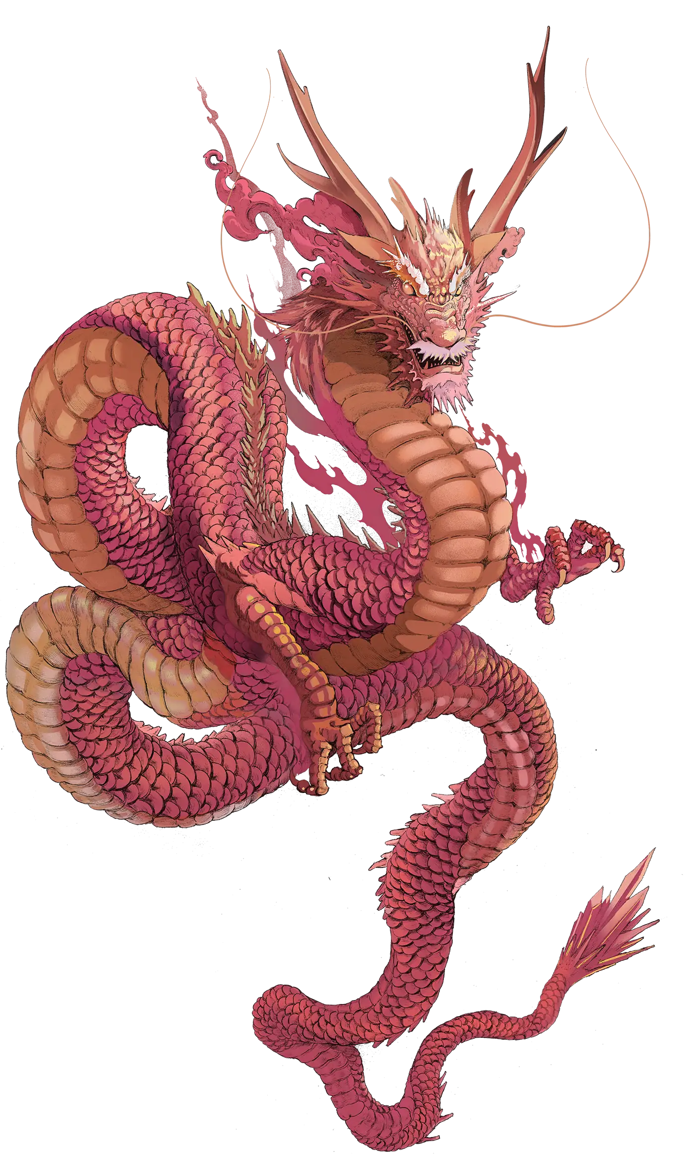 Dragon